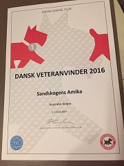 161104 DKK Herning Amika Dansk veteranvinnare!
