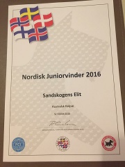 161105 DKK Herning Elit Nordisk juniorvinnare!